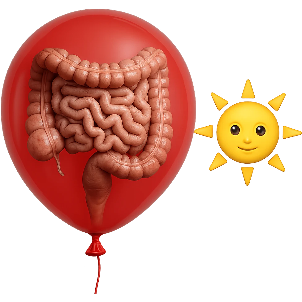 intestino umano anatomico chiuso in un palloncino rosso che simboleggia gonfiore, accanto un simbolo di sole stile emoji iphone che simboleggia "gonfiori di mattina", iperrealistico 4k emoji