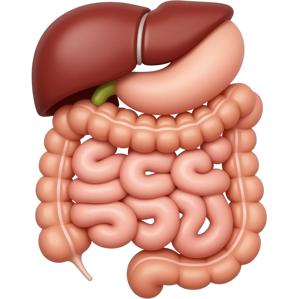 abdome órgãos emoji