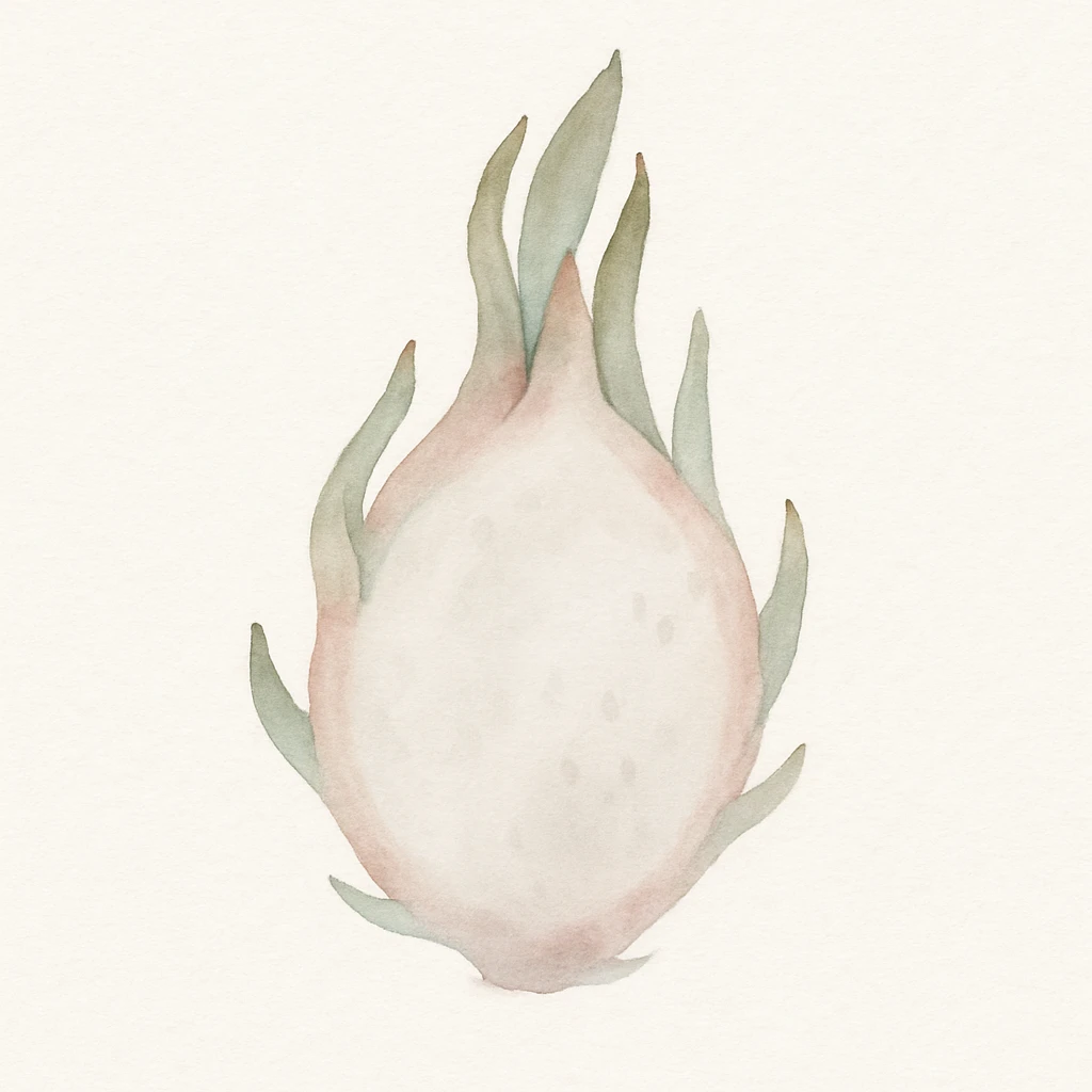dragon fruit, realistic watercolor style, soft edges, natural colors emoji