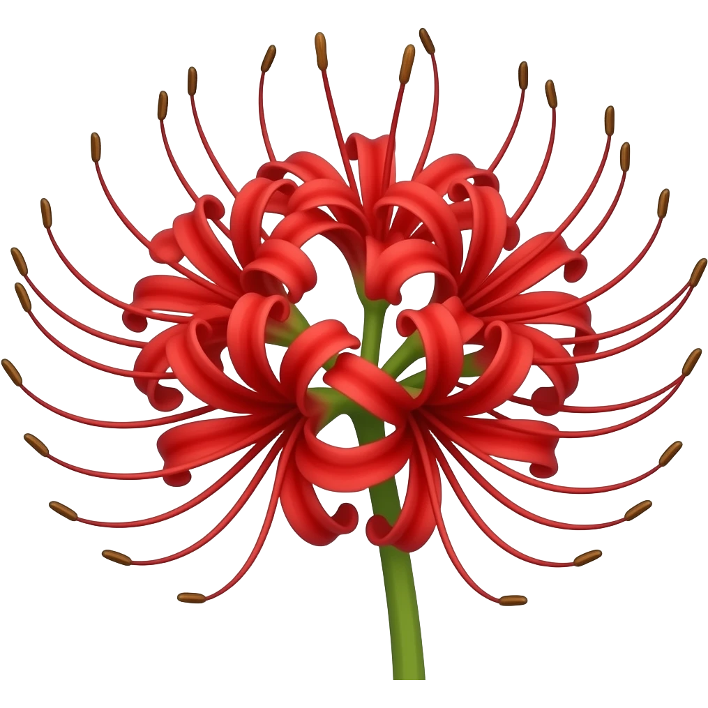 Emoji de lírio aranha vermelho emoji