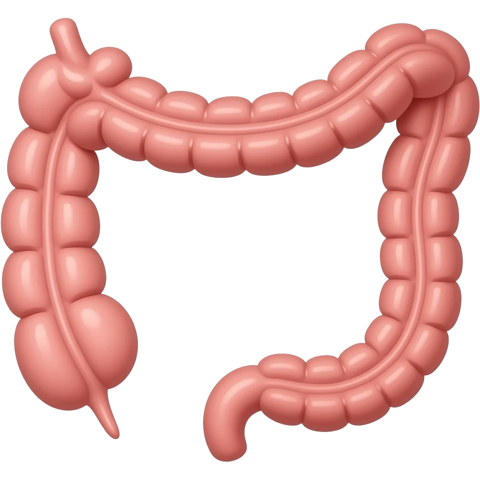 draw anatomically the esophagus that's the stomach emoji