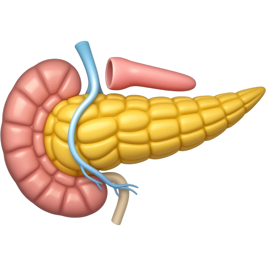 pancreas anatomic image emoji