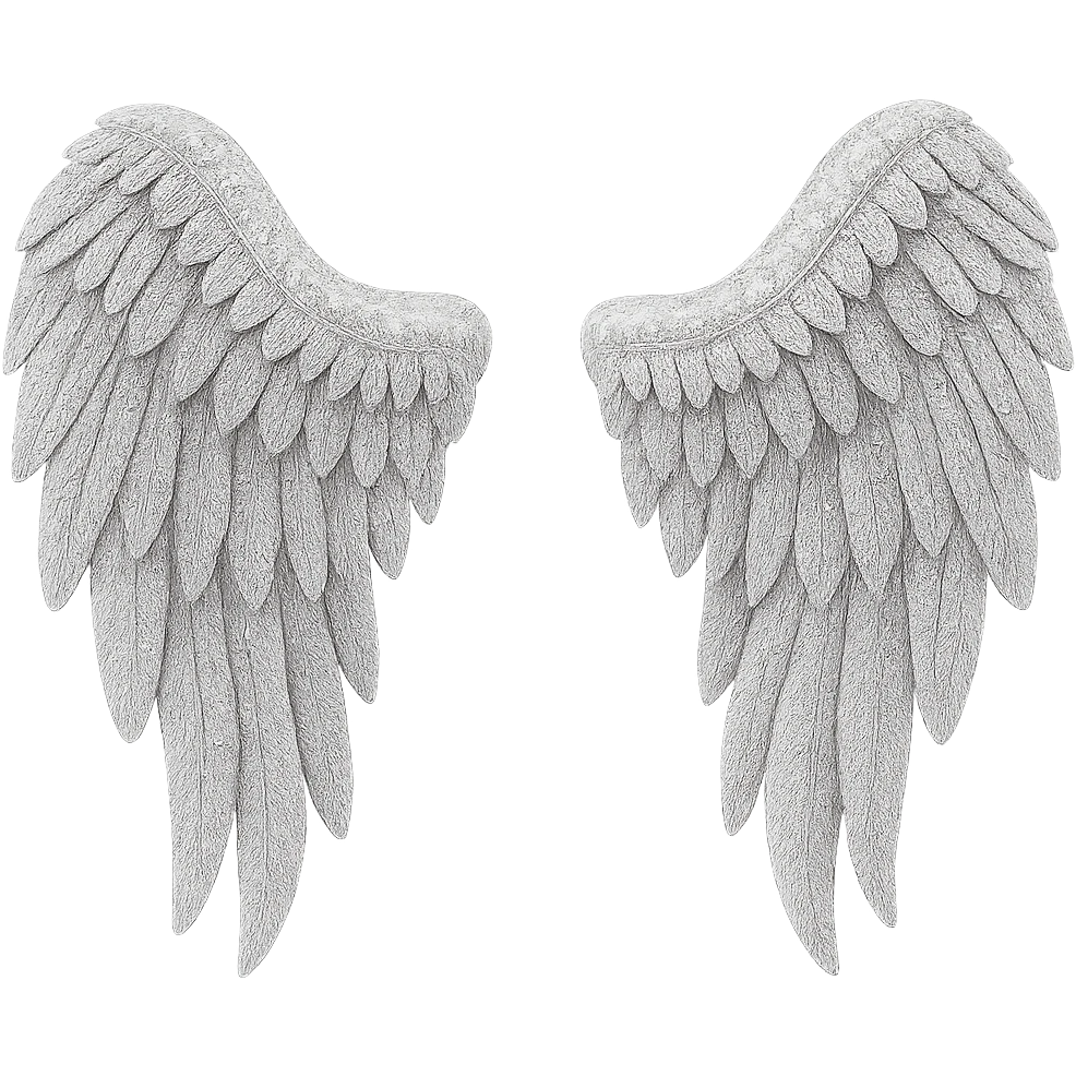 Silver glitter wings, remove background emoji