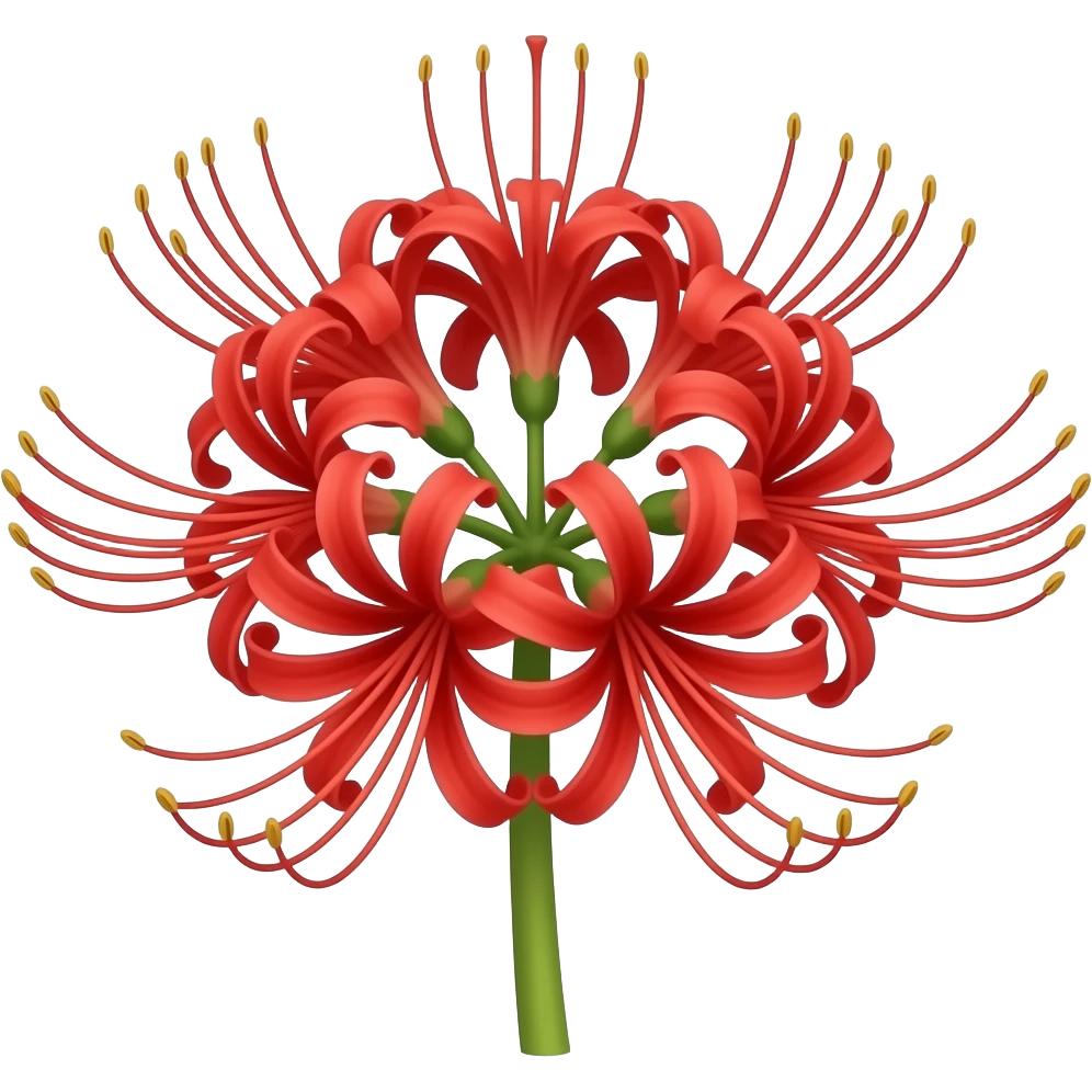 Lycoris radiata emoji