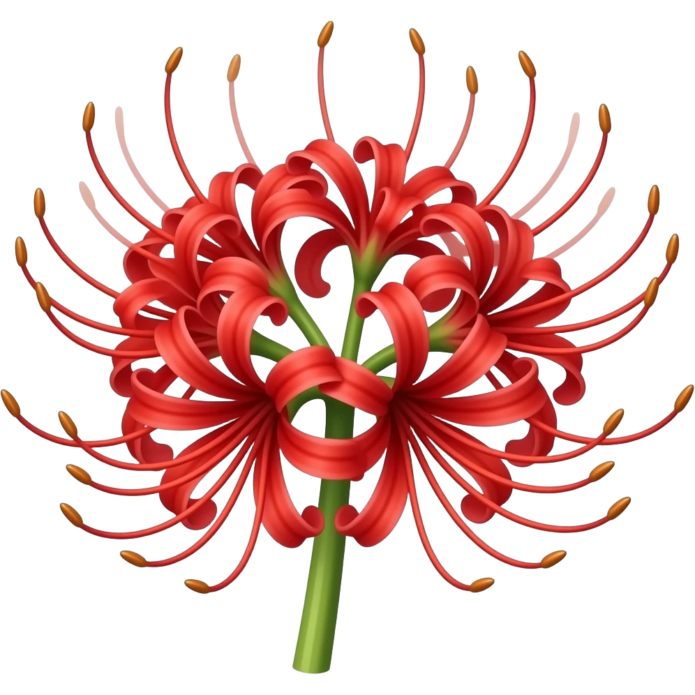 Lirio araña rojo emoji