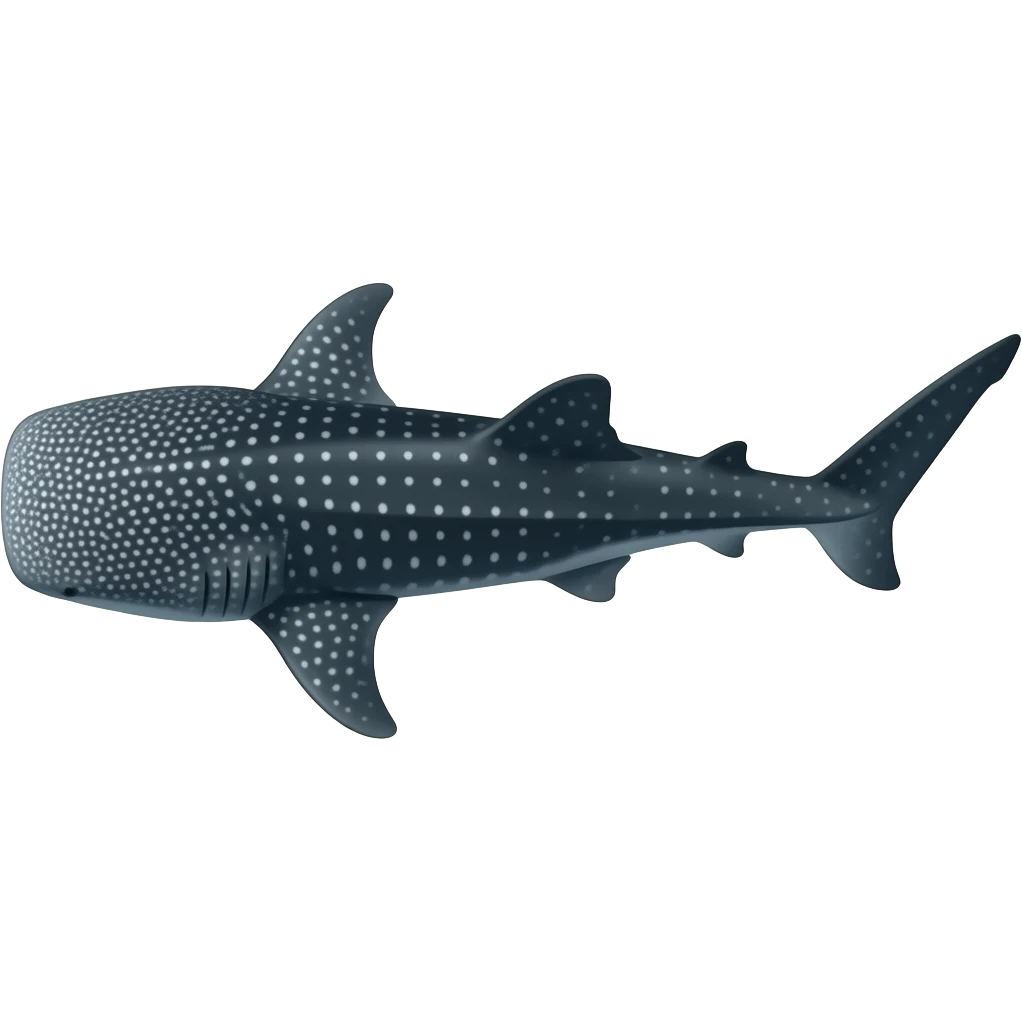 A real whale shark view from above emoji