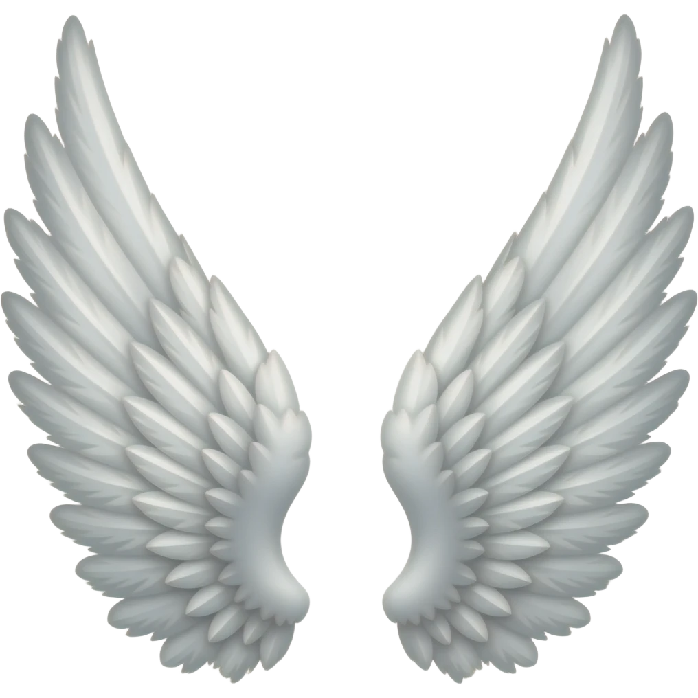 Wings emoji emoji