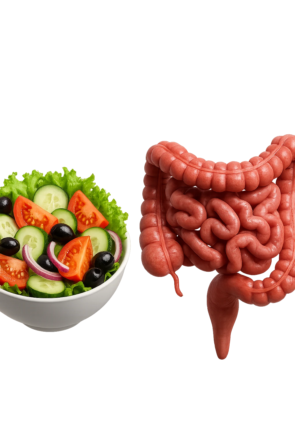 bowl di insalata fluttua in aria insieme ad intestino umano anatomico realistico, IPERREALISTICO 4K emoji
