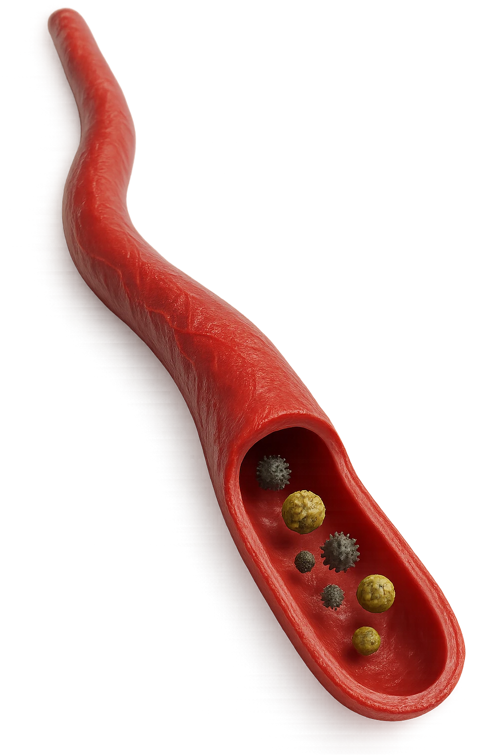 tossine che entrano in una vena umana anatomica realistica, vista dall'alto, iperrealistica 4k emoji