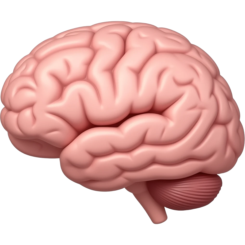 Brain - cute sticker style, no face emoji