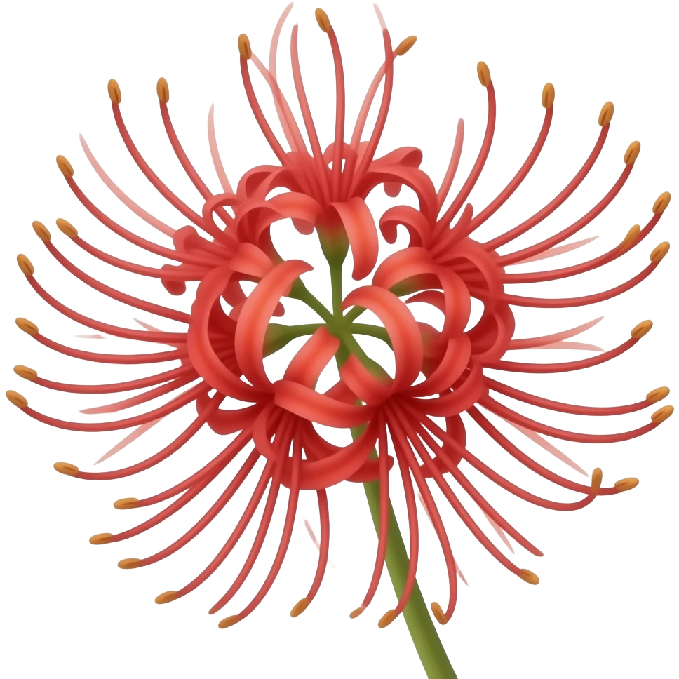 Create a red spider Lily emoji similar to the chosen image above but it has to be slightly different from the image and it should properly describe the features of the real flower the color should be red emoji