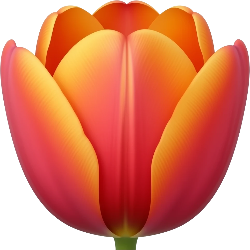 нарисуй оранжево красный тюльпан открытый emoji
