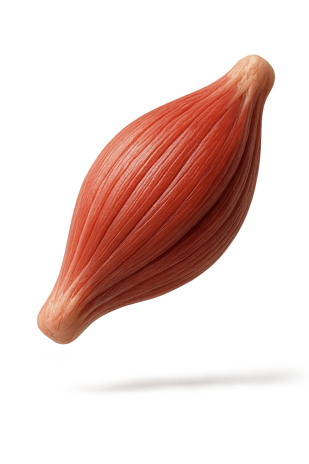porzione di tessuto muscolare umano iperrealistico fluttua in aria, iperrealistico 4k emoji