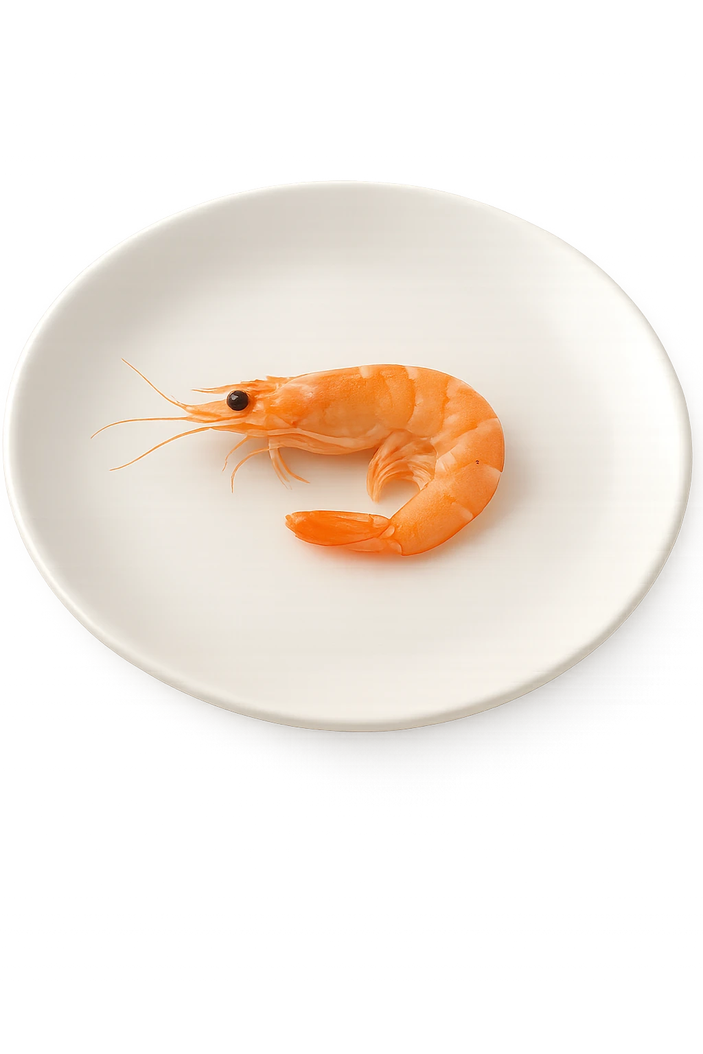 Gamberetti piccoli su un piatto emoji