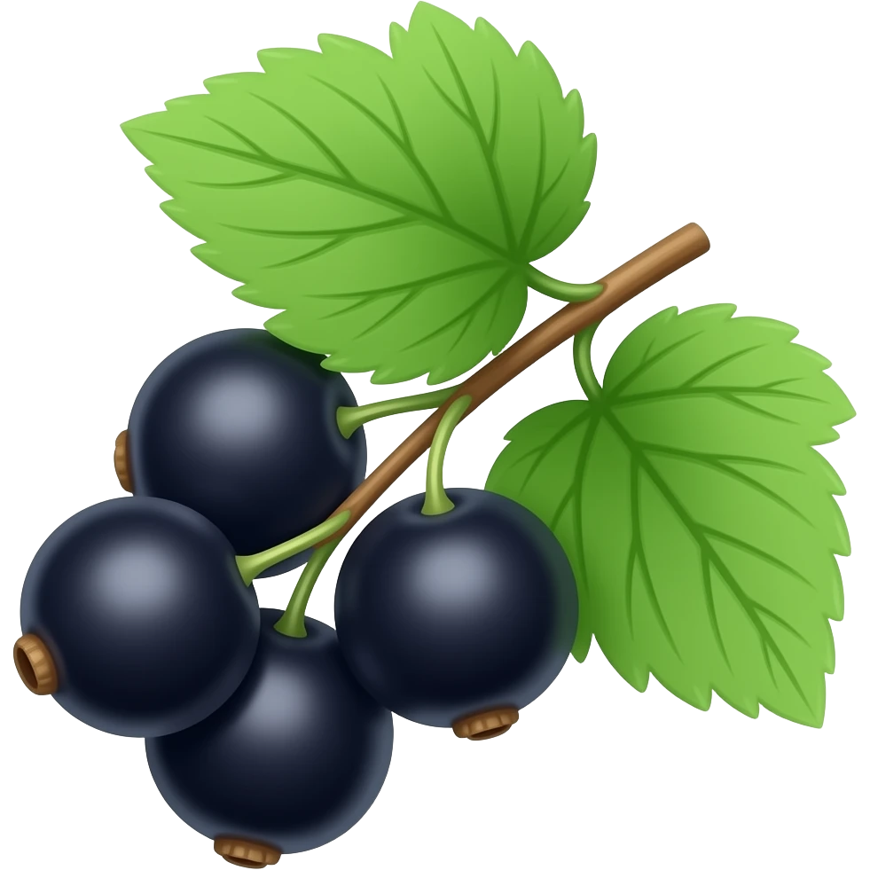 нарисуй черную смородину на ветке emoji