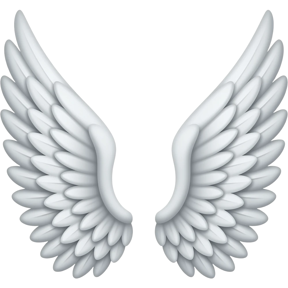 wings emoji