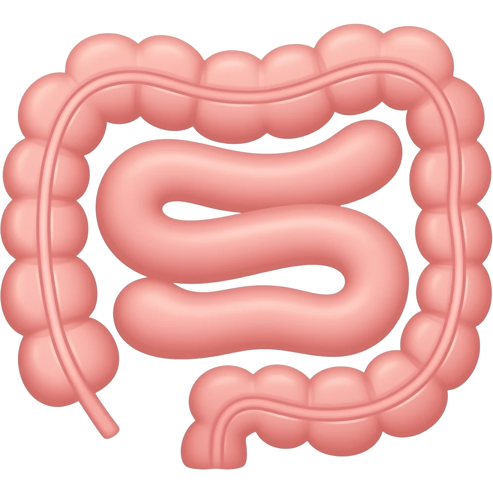 Cute intestine emoji