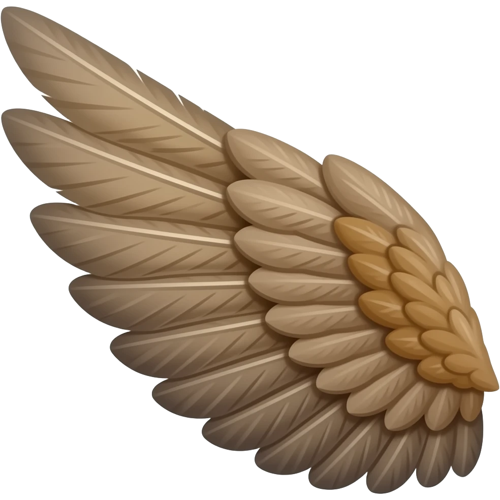 Wing left side emoji