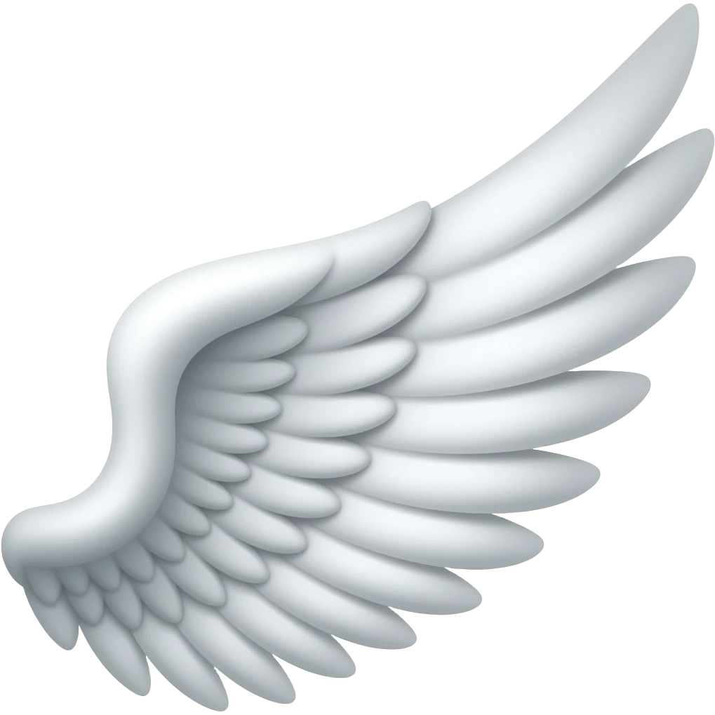 Right side wings 🪽 emoji