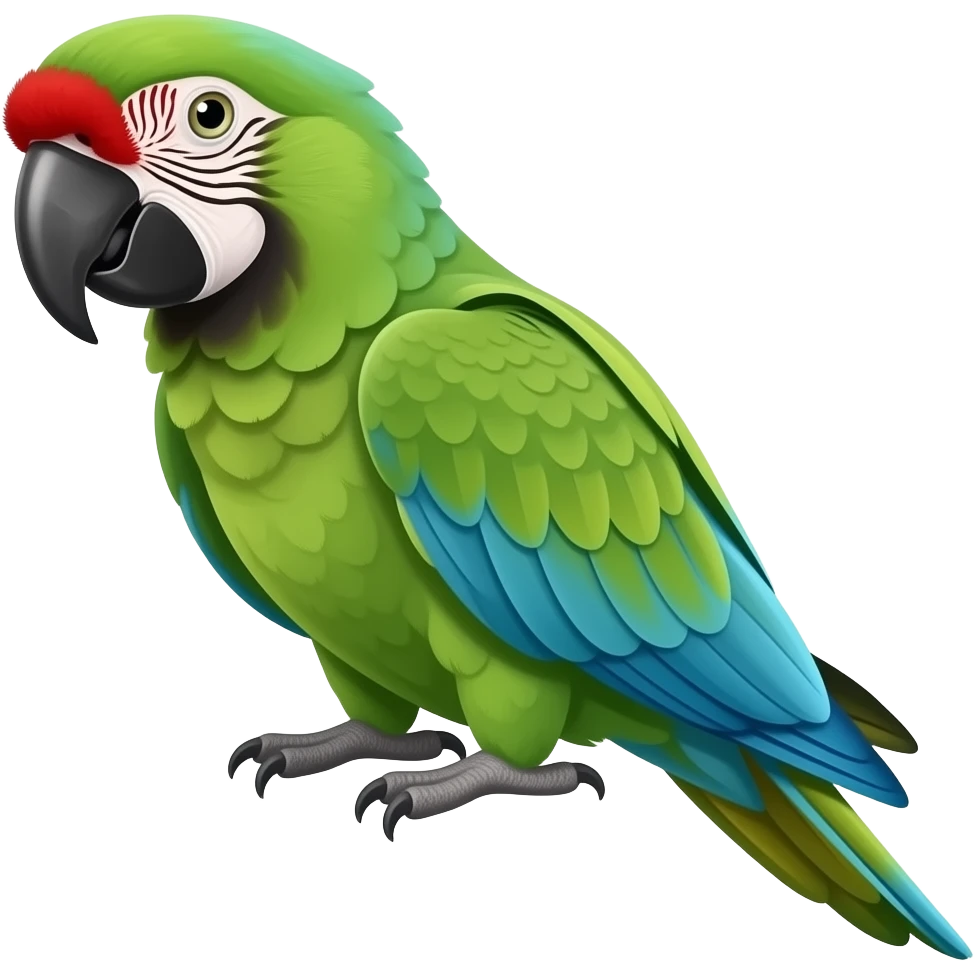 Red fronted green macaw emoji