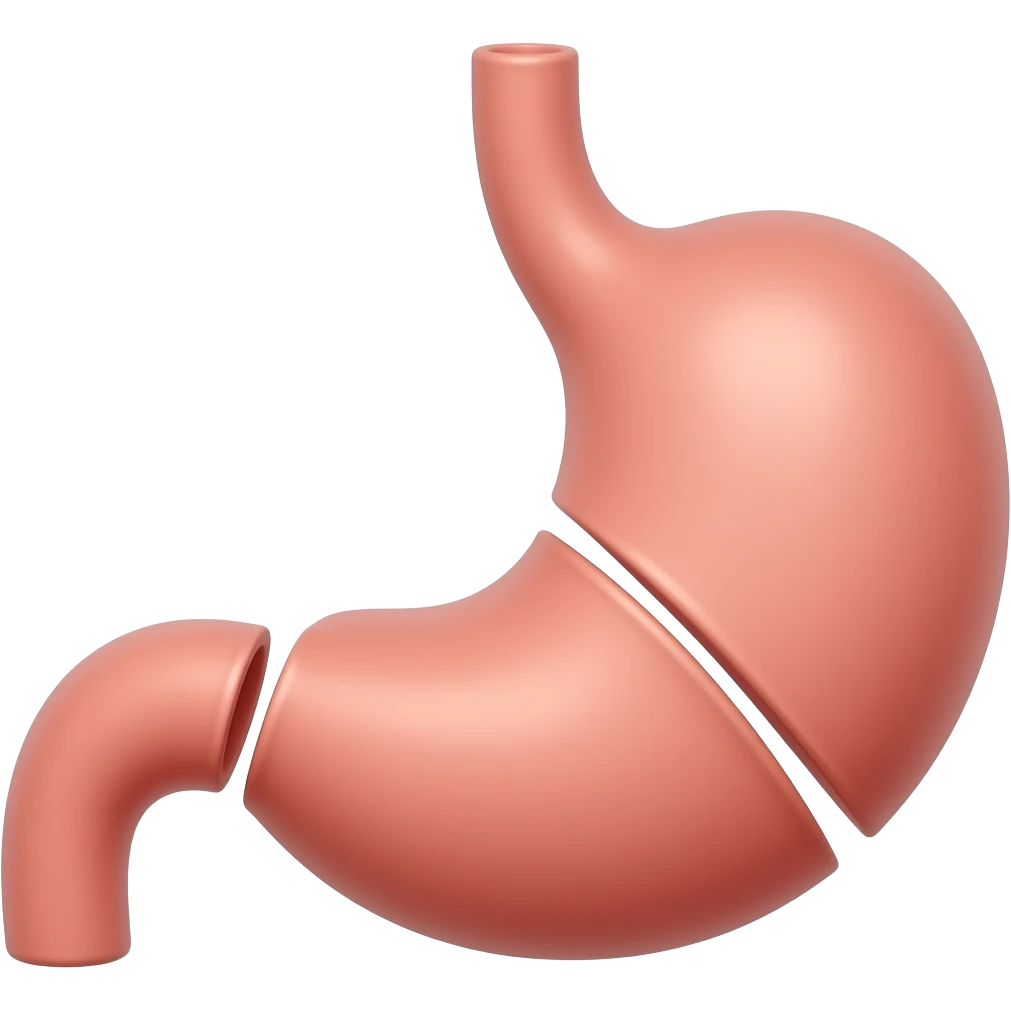 Two stomachs connected emoji