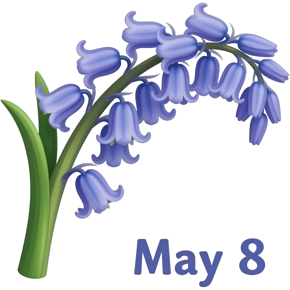 bleuet de france commemoration 8 mai emoji