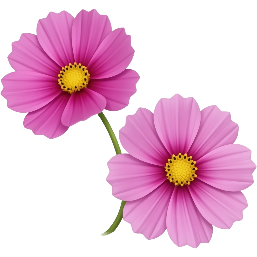 Just 2 cosmos flower with no stem looks realistc and hd emoji