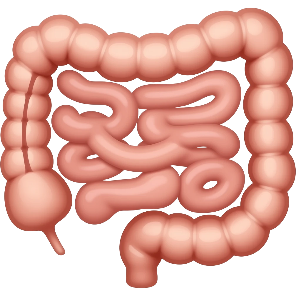 Anatomical intestine emoji