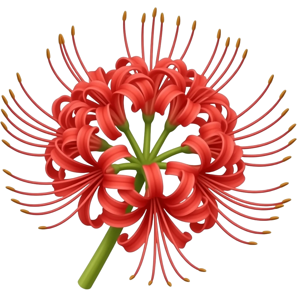 Lycoris radiata emoji