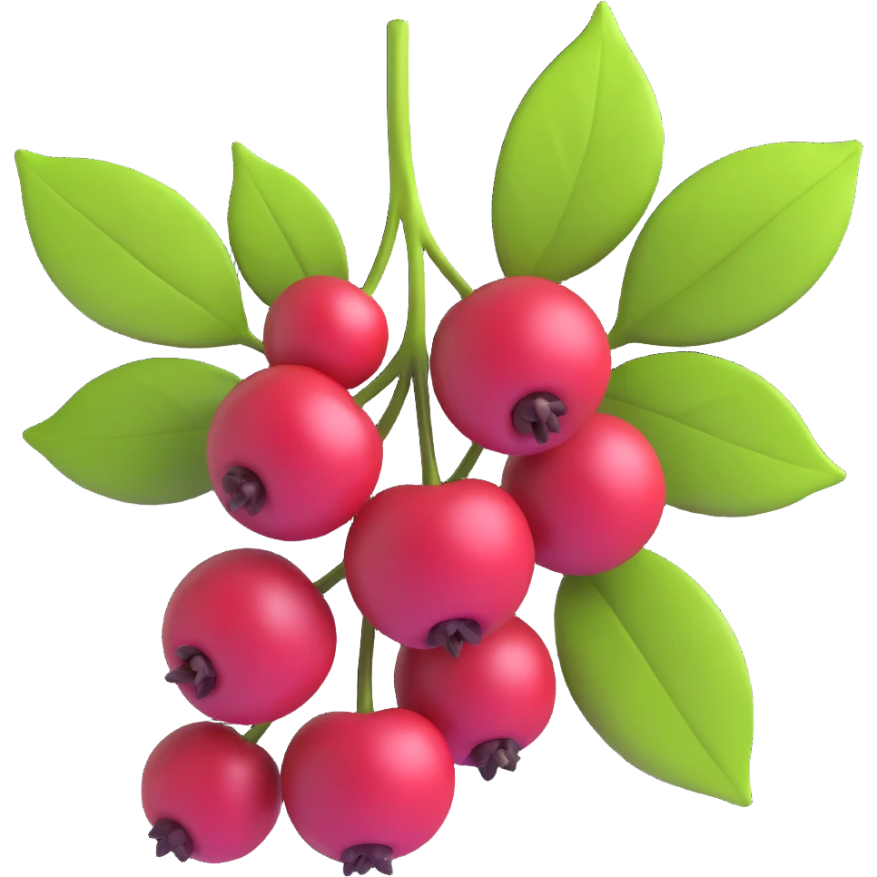 Prunus mahaleb cherry several dark red berries with leaves, modern 3D iOS style, emphasis on volume, light-shadow and freshness, clean background emoji