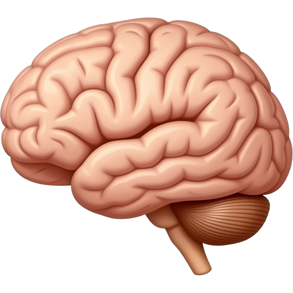 Anatomical brain emoji