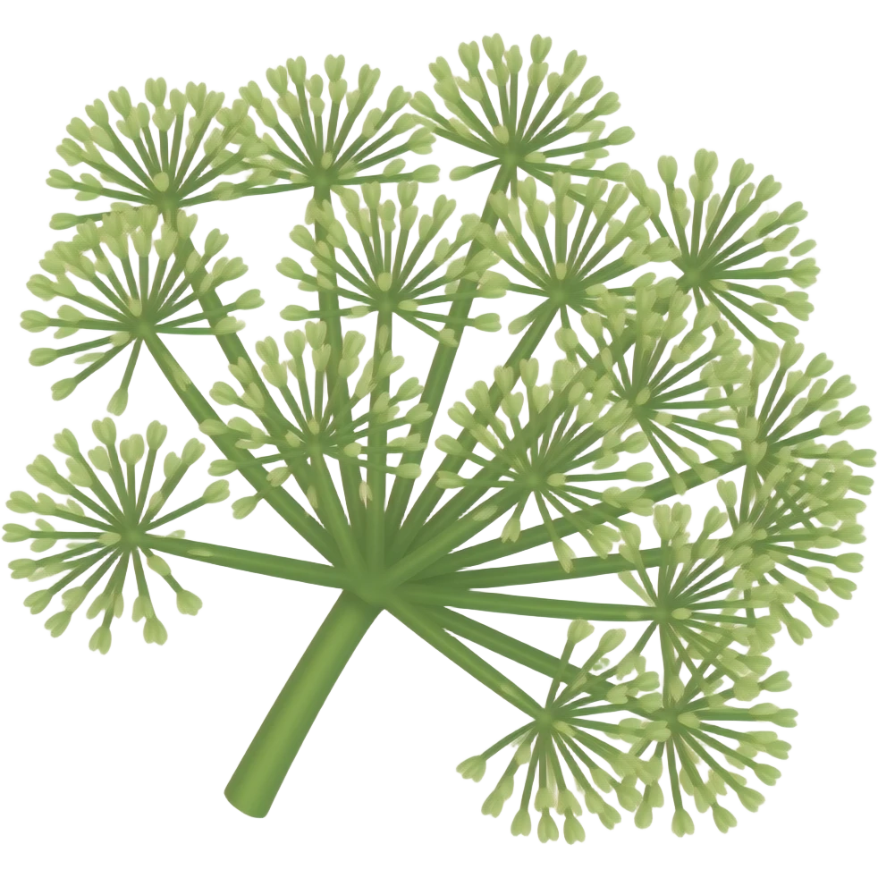 Fennel emoji