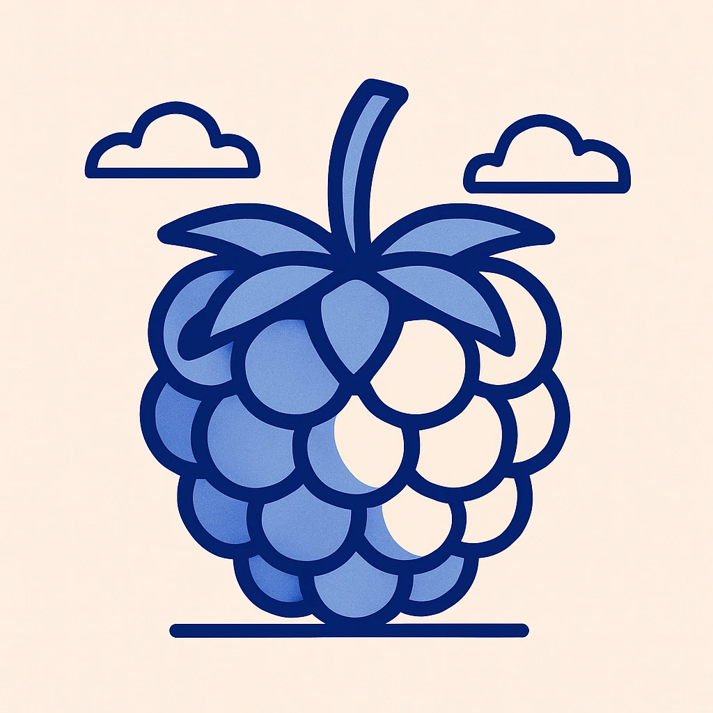 raspberry emoji