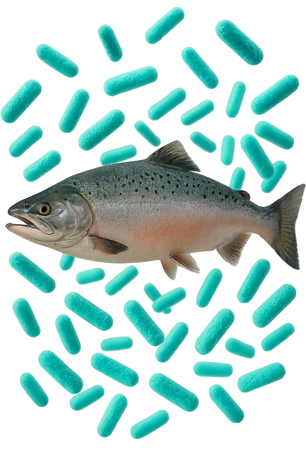 batteri intestinali rosa salmone e turchesi fluttuano in aria, iperrealistici 4k emoji
