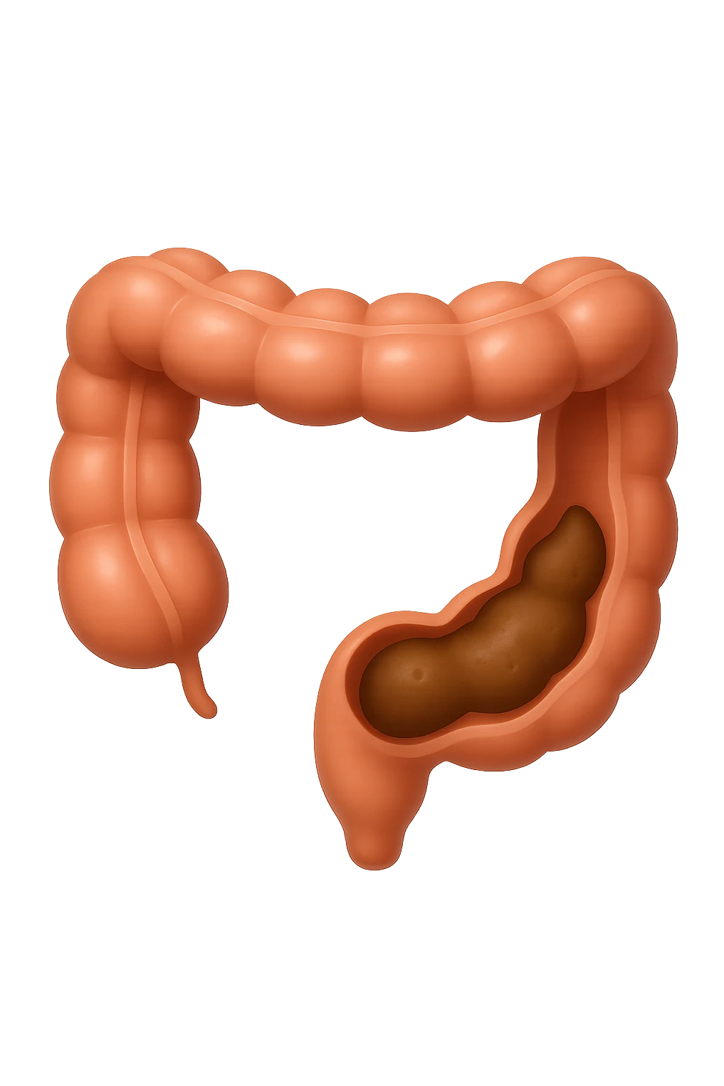 EMOJI STILE IPHONE DI UN TRATTO DI COLON INTESTINALE CHE FLUTTUA IN ARIA CON ALL'INTERNO DELLE FECI, IPERREALISTICO 4K emoji
