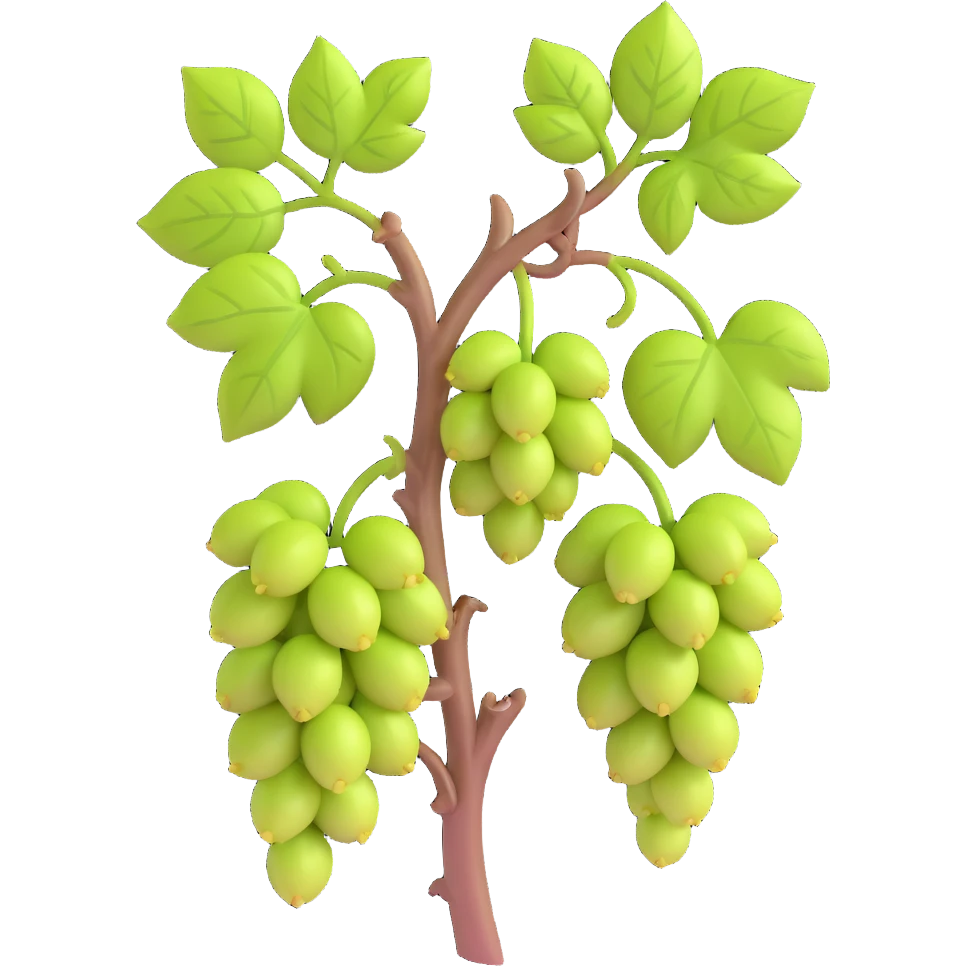 early spring grapevine with new buds sprouting, early summer grapevine with leaves beginning to grow, no background emoji