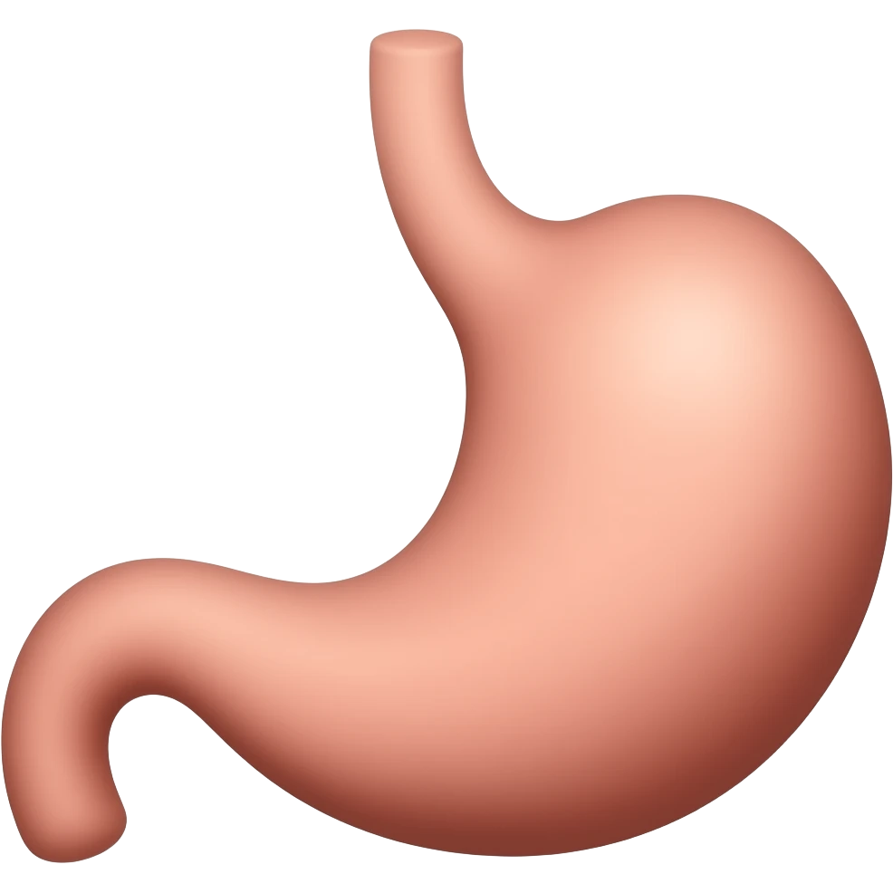Stomach emoji