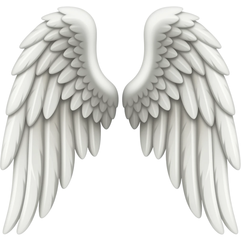 Both right and left wings emoji emoji