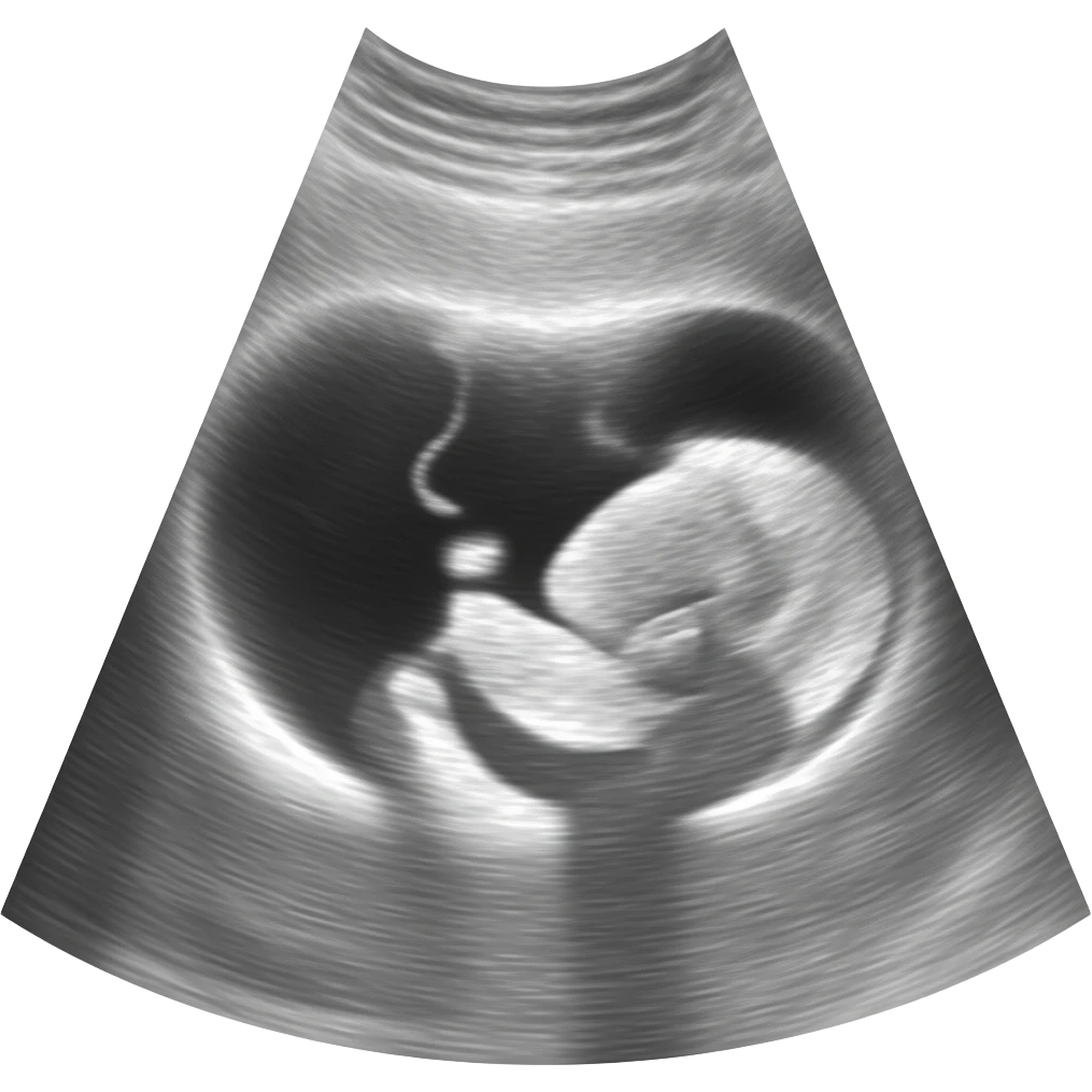 ultrasound emoji