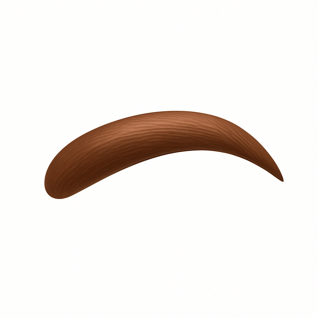 A 3D emoji in iOS emoji aesthetic style of a single human eyebrow, smooth curved shape with natural texture and color, minimal realistic design, glossy Apple-style rendering, clean white background. emoji