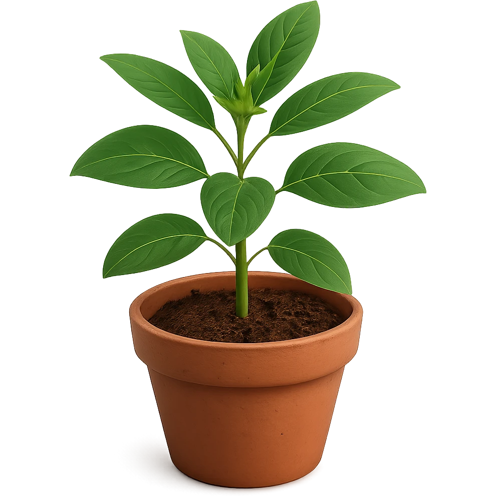 Plantare senza sfondo emoji