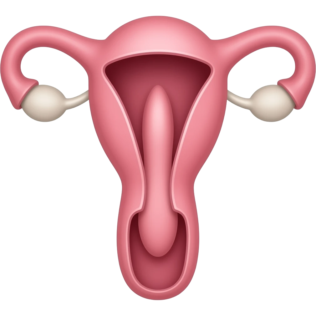 Vagina with penis inside emoji