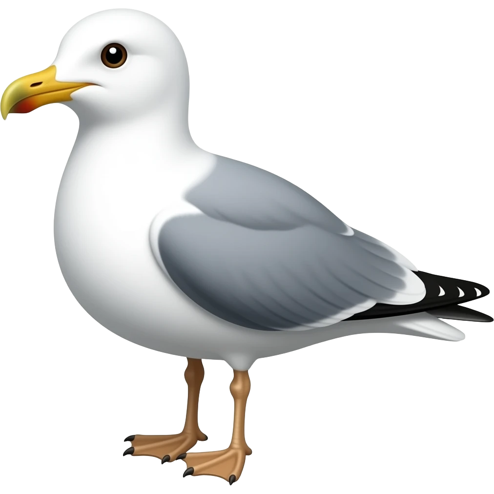 Seagull with a Brighton and hove Albion design emoji