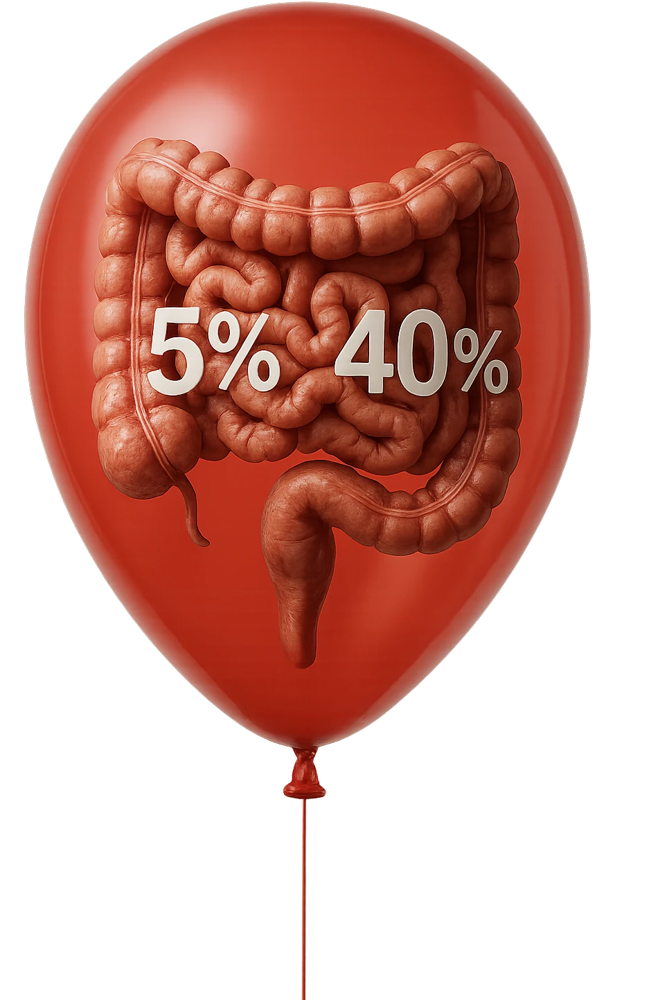intestino umano anatomico chiuso in un palloncino rosso con la scritta 5% e 40% dentro insieme all'intestino, iperrealistico 4k emoji