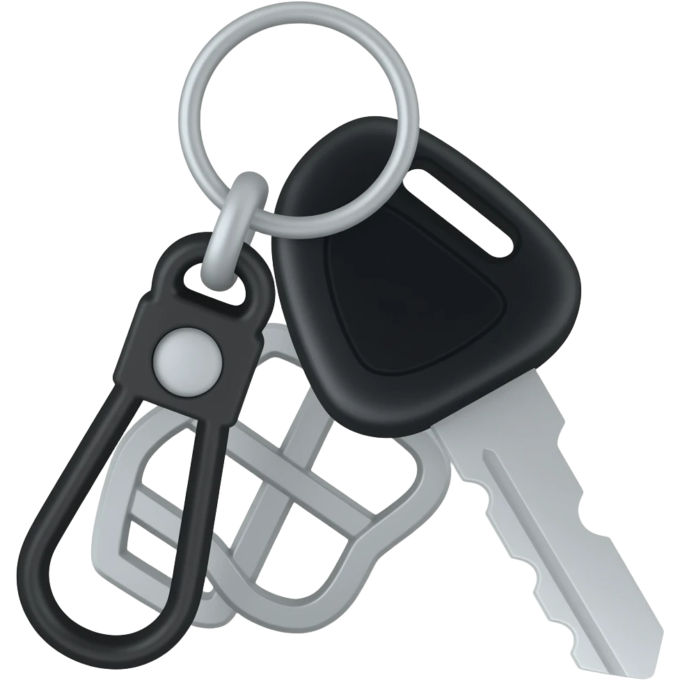 car keys with keychain black on white background minimalism emoji