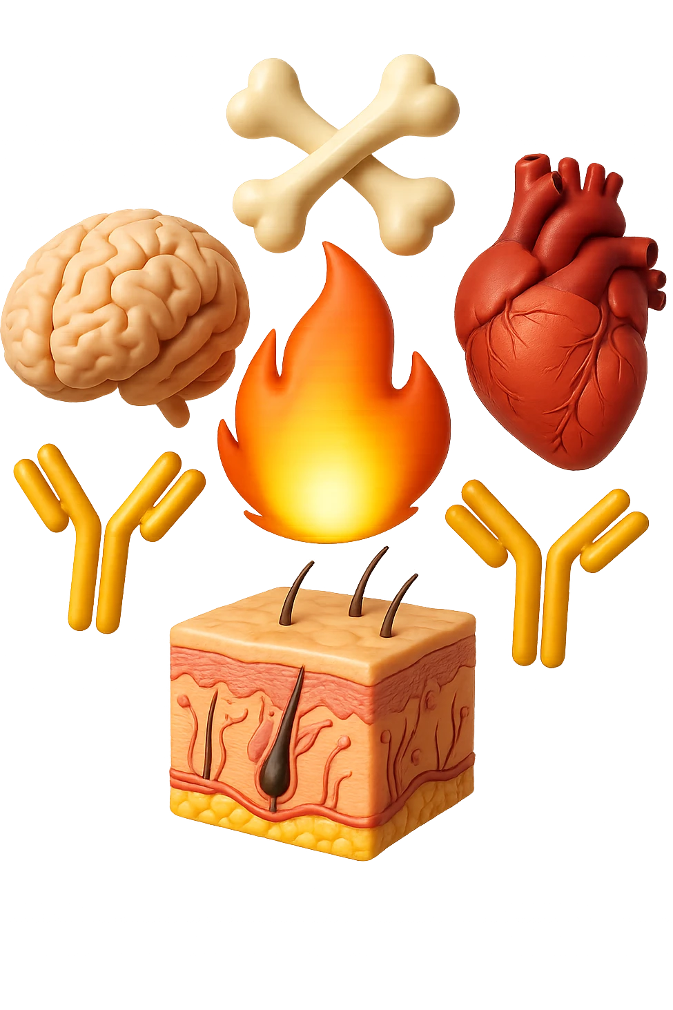 EMOJI STILE IPHONE 3D DI cervello, ossa, cuore, porzione di epidermide e cellule di anticorpi che girano in tondo, al centro di questi elementi c'è una fiamma 3d  FALLO MOLTO REALISTICO IN 3D emoji