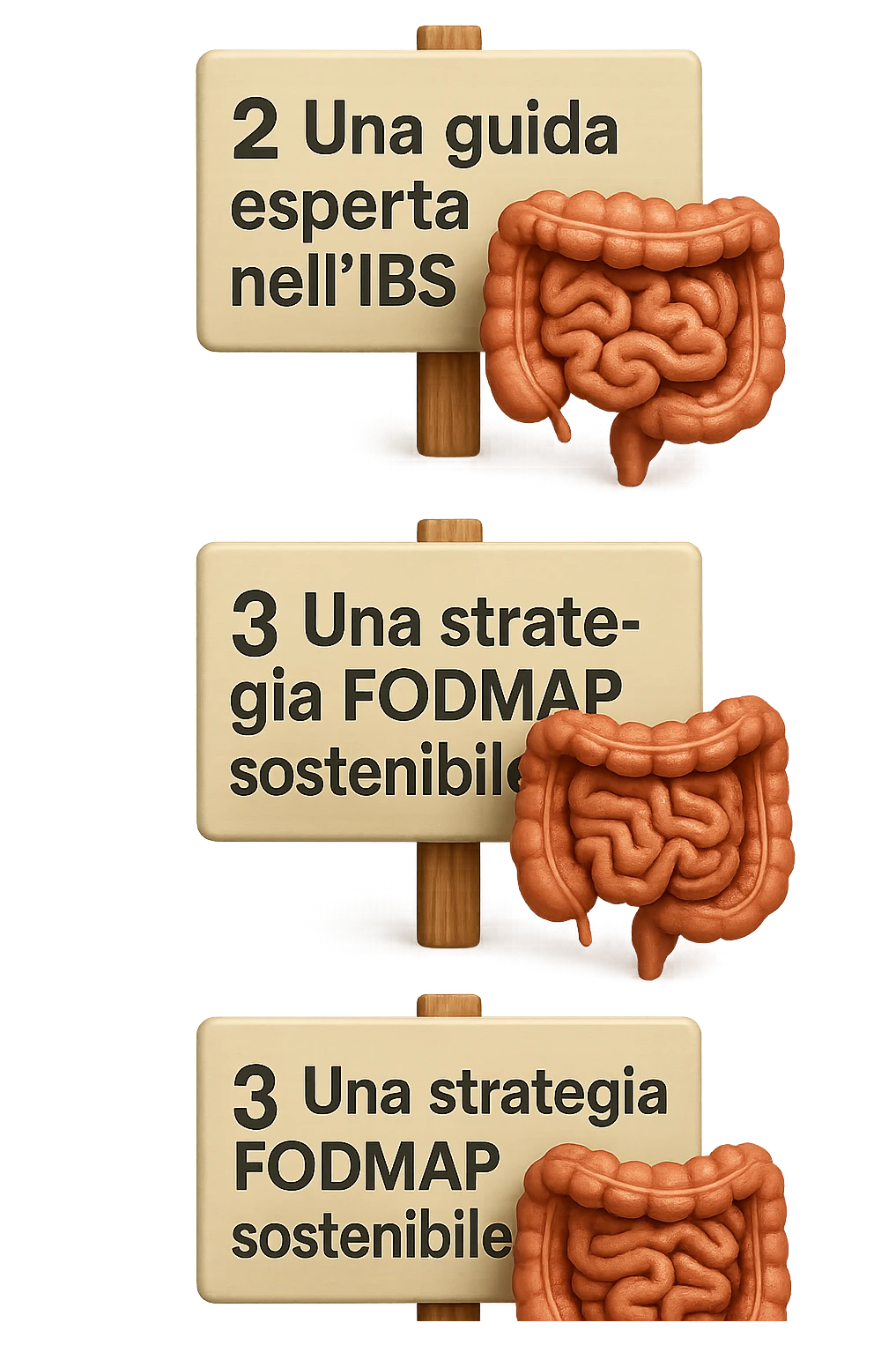 emoji stile iphone di 3 targhette numerate con intestino realistico davanti ad ogni targhetta, le targhette sono:
"1 – Un piano chiaro e strutturato
2 – Una guida esperta nell’IBS
3 – Una strategia FODMAP sostenibile"
, iperrealistico 4k emoji