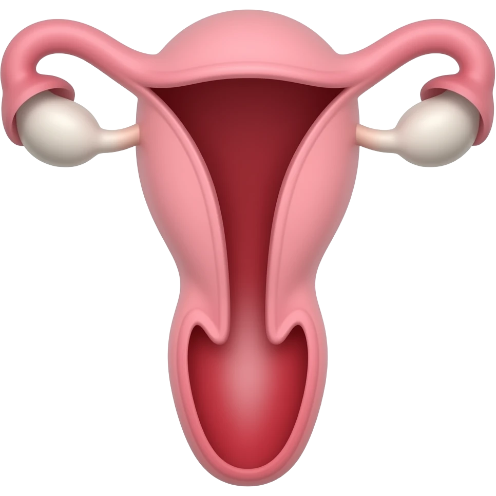 Dick inside a vagina emoji