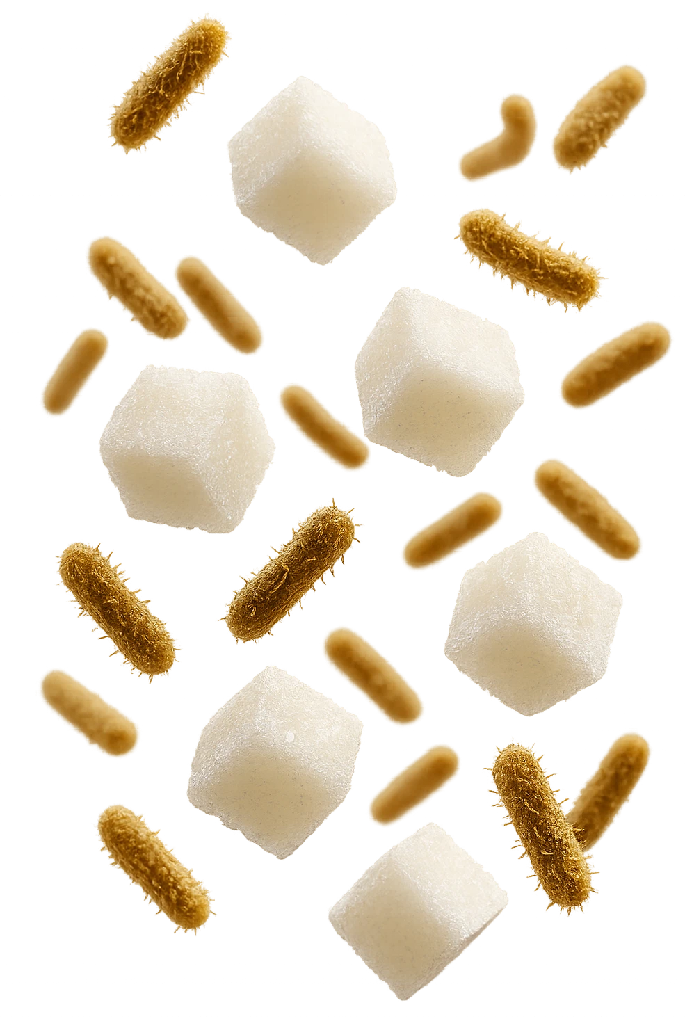 ZOLLETTE DI ZUCCHERO FLUTTUANO IN ARIA INSIEME A BATTERI INTESTINALI REALISTICI
IPERREALISTICO 4K, SFONDO BIANCO emoji