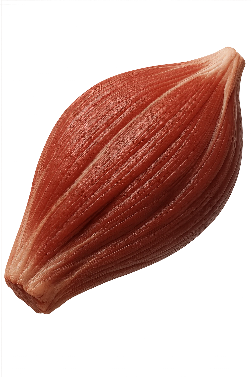 porzione di tessuto muscolare umano iperrealistico fluttua in aria, iperrealistico 4k emoji